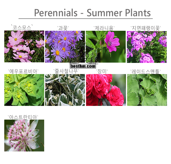 perennials.png